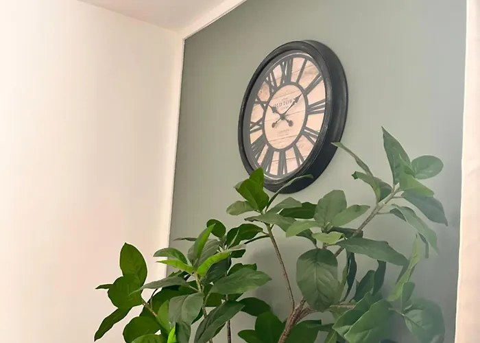 Cocon Clemenceau Apartment *